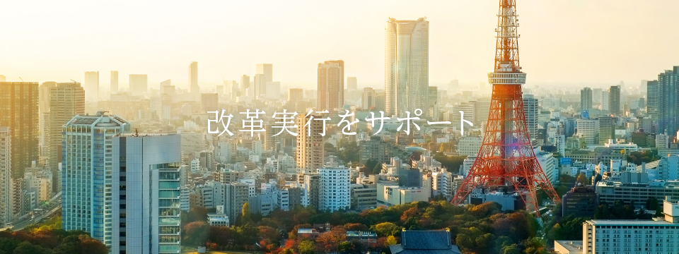 改革実行をサポート